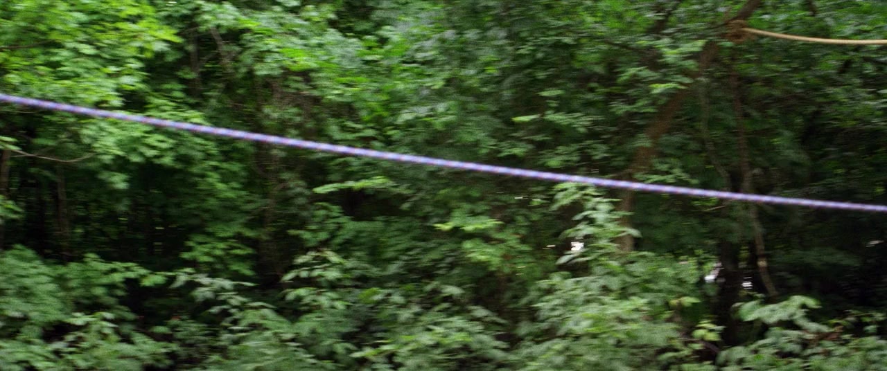 The Kings of Summer (2013), unknown, 2.39:1 — film still