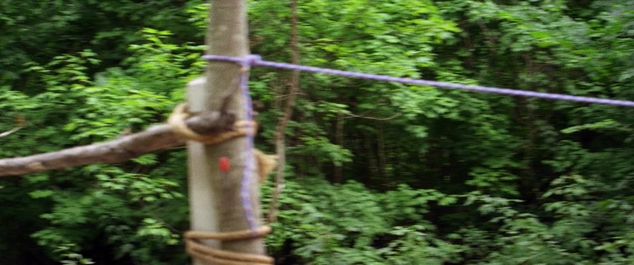 The Kings of Summer (2013), unknown, 2.39:1 — film still
