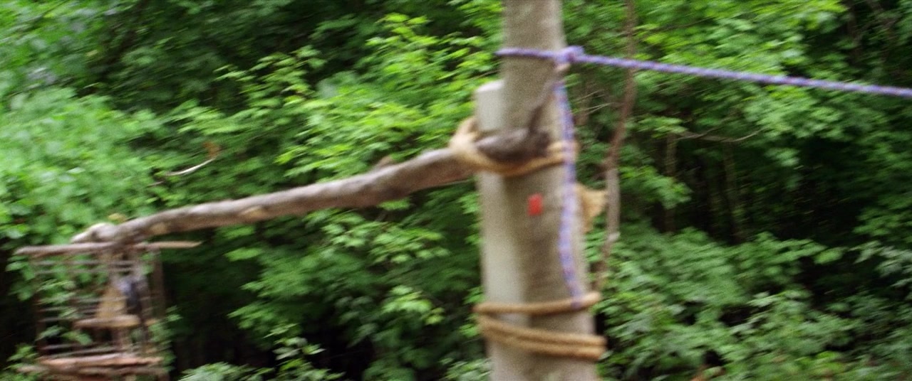 The Kings of Summer (2013), unknown, 2.39:1 — film still