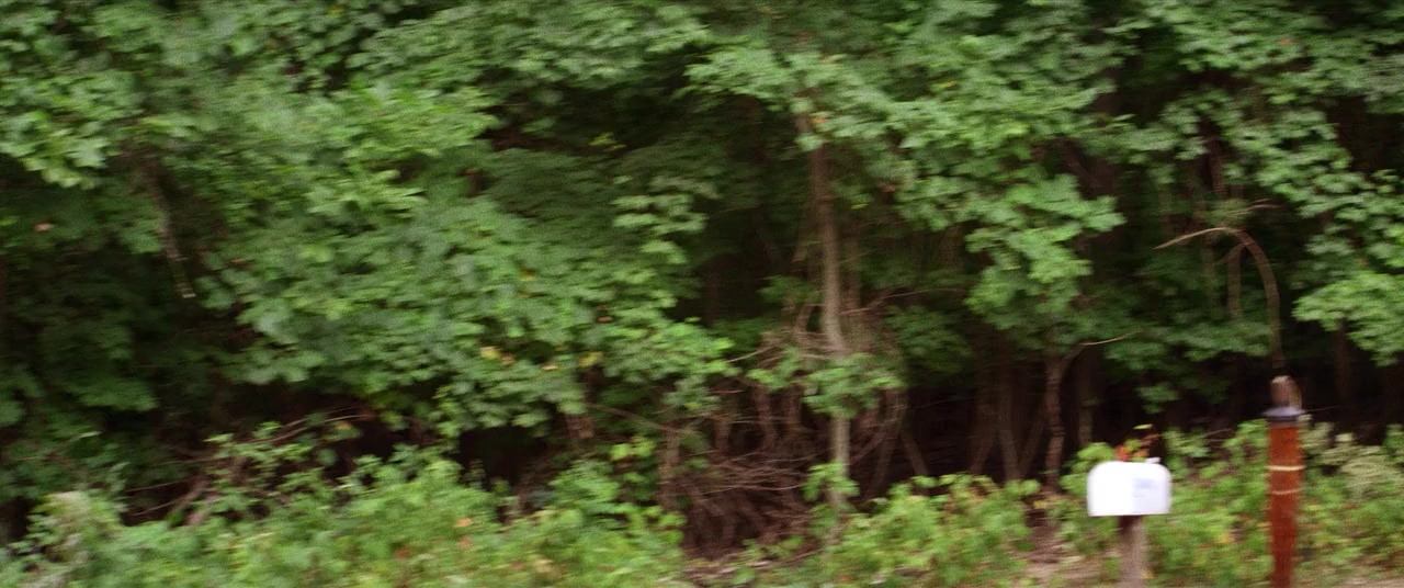 The Kings of Summer (2013), wide, 2.39:1 — film still