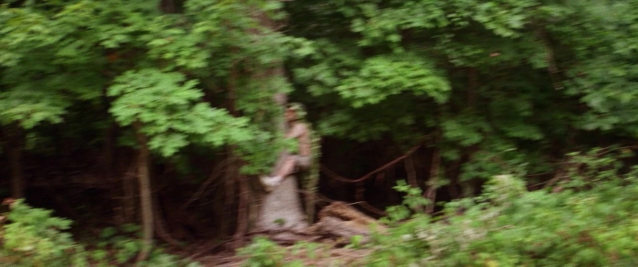 The Kings of Summer (2013), wide, 2.39:1 — film still