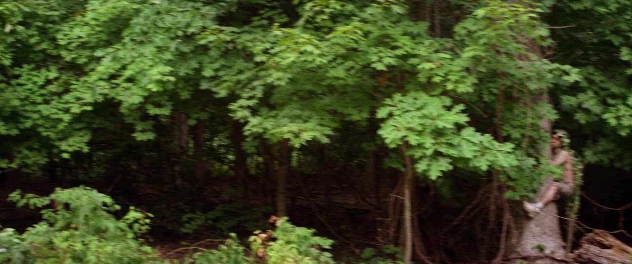 The Kings of Summer (2013), unknown, 2.39:1 — film still