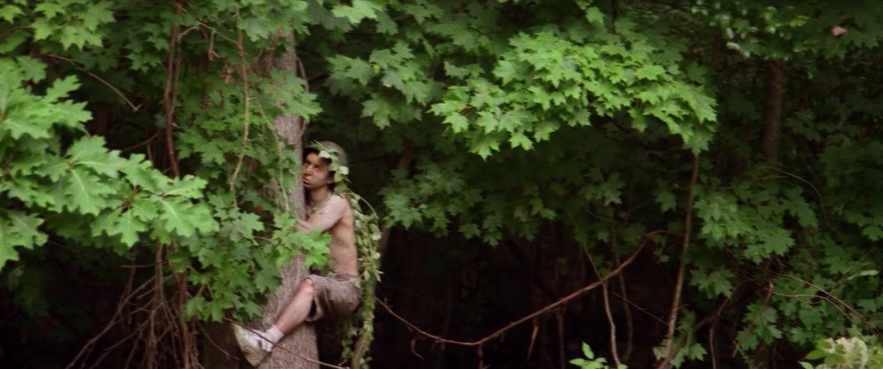 The Kings of Summer (2013), wide, 2.39:1 — film still