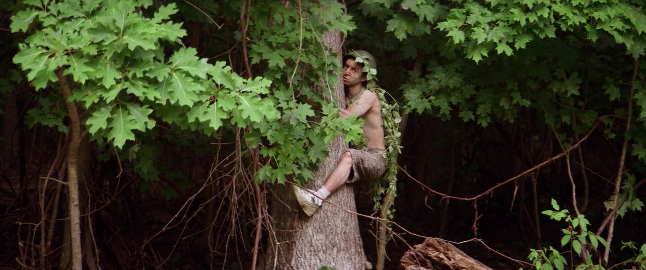 The Kings of Summer (2013), wide, 2.39:1 — film still