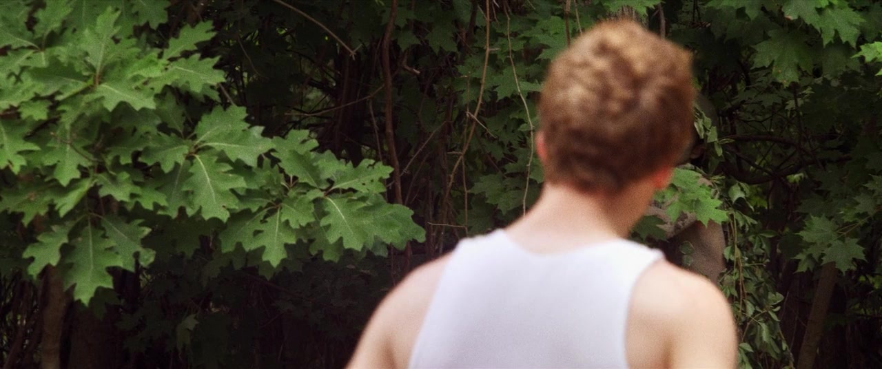 The Kings of Summer (2013), wide, 2.39:1 — film still