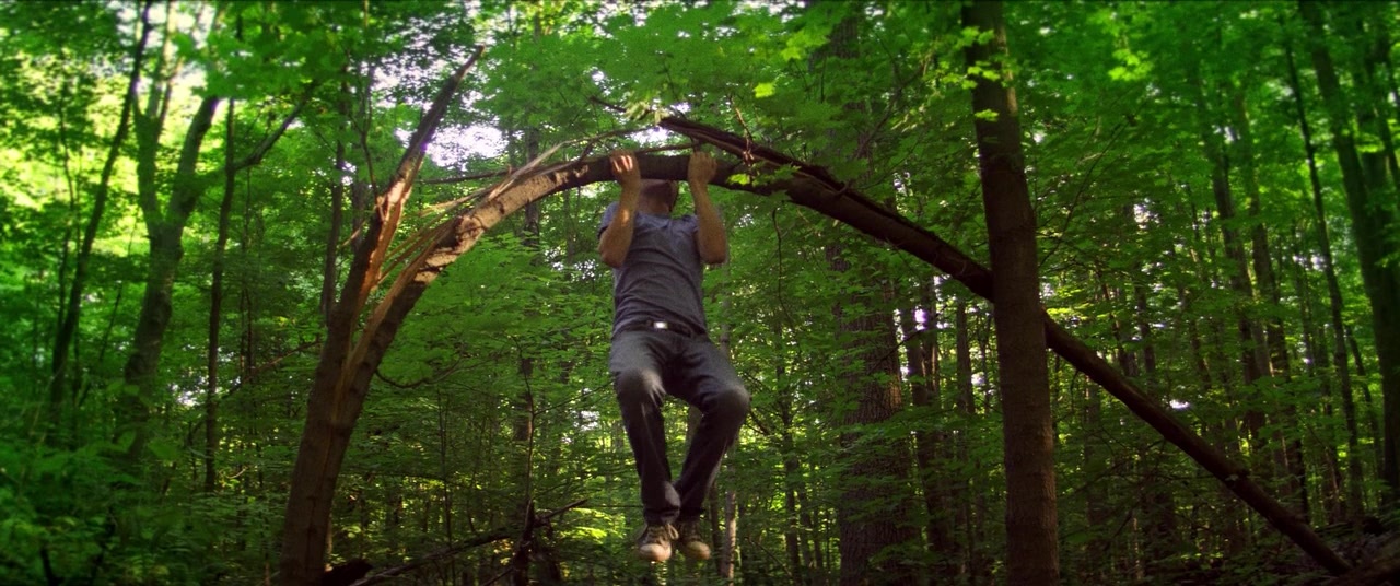 The Kings of Summer (2013), wide, 2.39:1 — film still