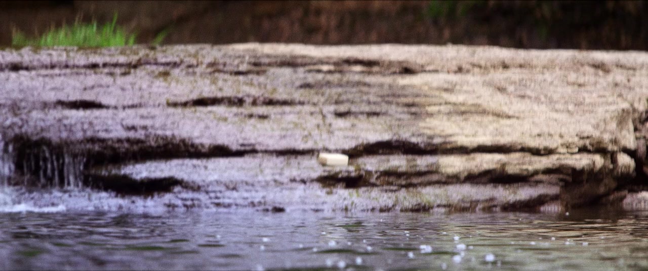 The Kings of Summer (2013), unknown, 2.39:1 — film still