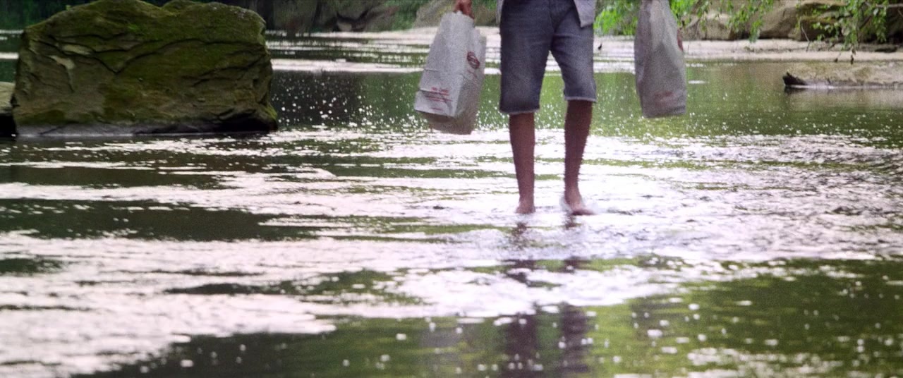 The Kings of Summer (2013), wide, 2.39:1 — film still