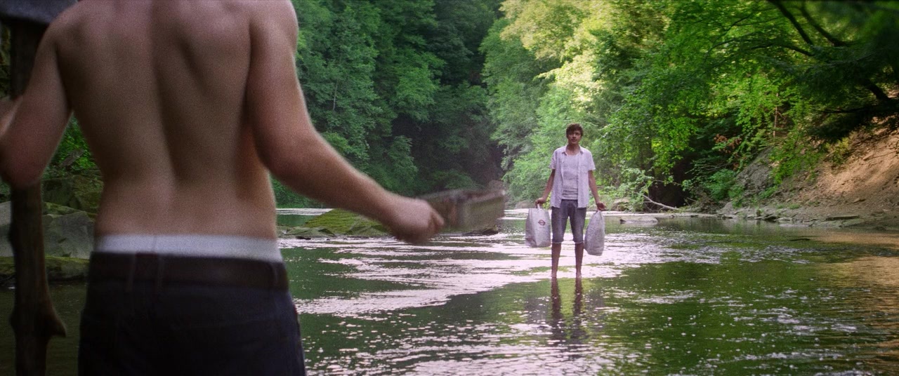 The Kings of Summer (2013), wide, 2.39:1 — film still