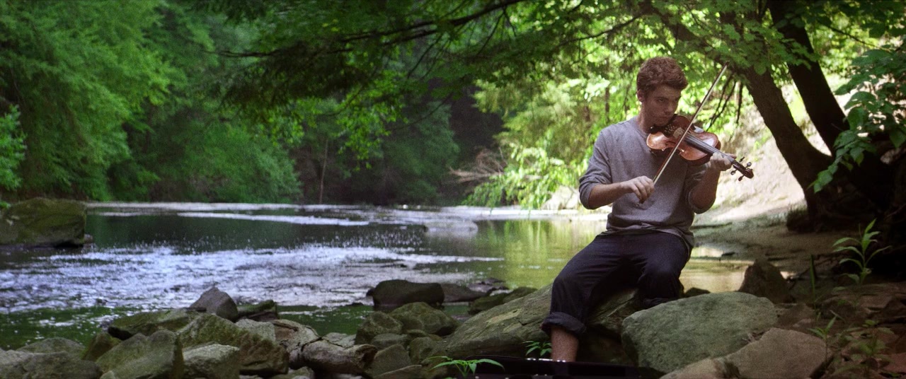 The Kings of Summer (2013), wide, 2.39:1 — film still
