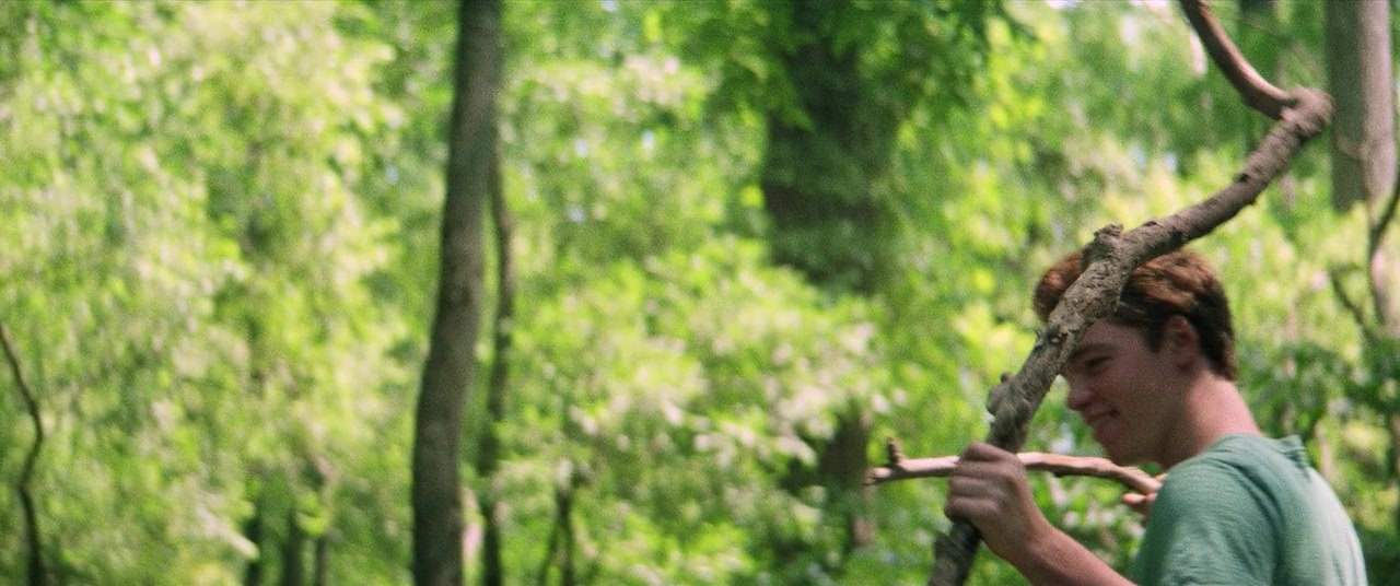 The Kings of Summer (2013), medium, 2.39:1 — film still