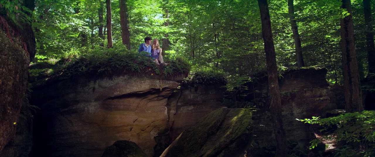 The Kings of Summer (2013), unknown, 2.39:1 — film still