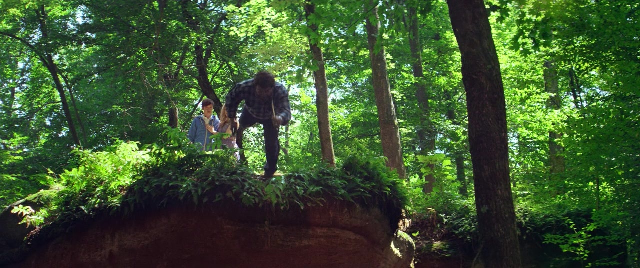 The Kings of Summer (2013), wide, 2.39:1 — film still