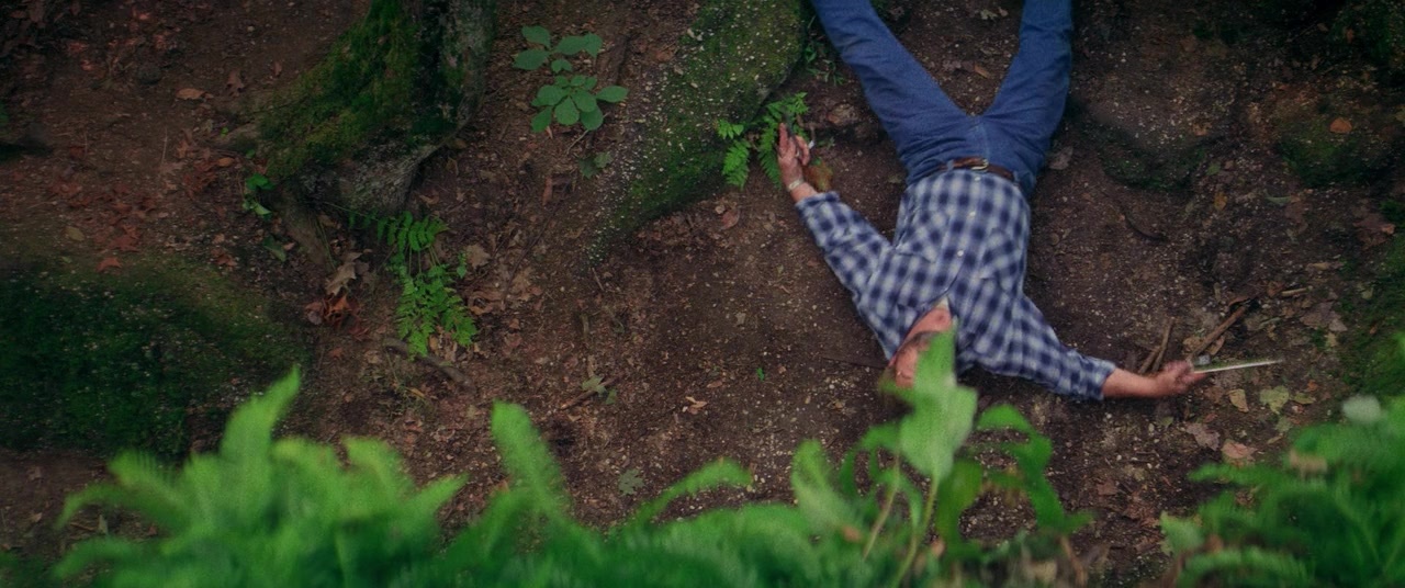 The Kings of Summer (2013), wide, 2.39:1 — film still