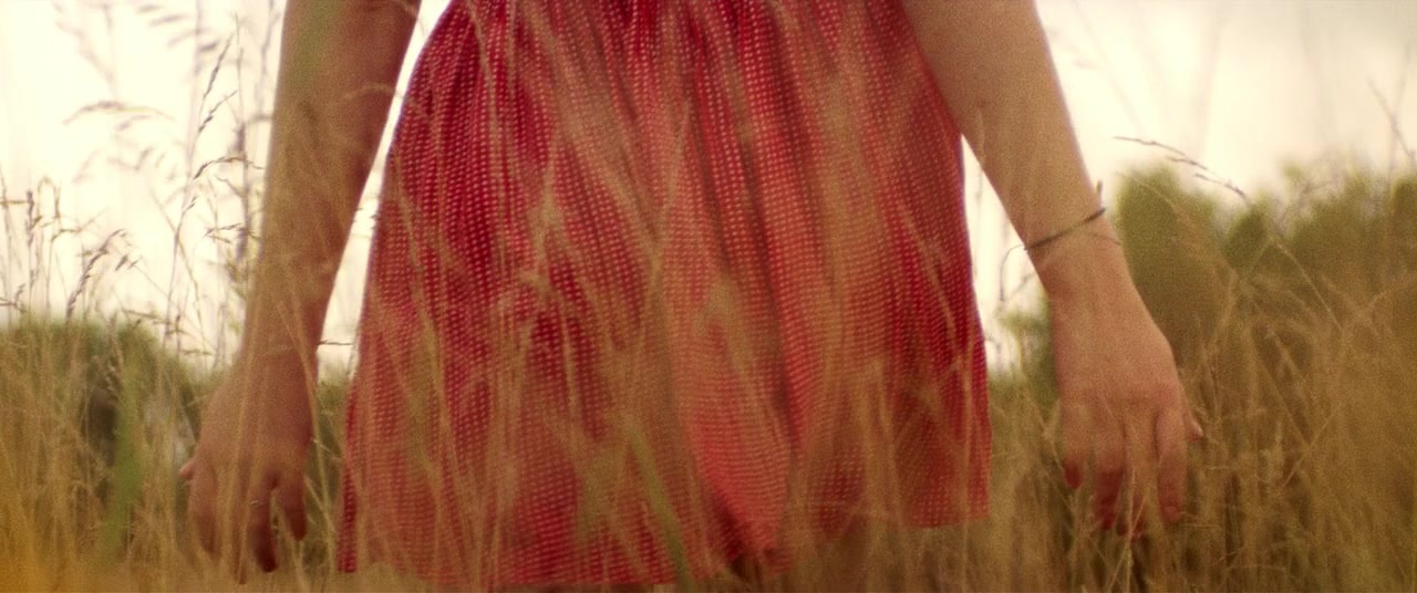 The Kings of Summer (2013), wide, 2.39:1 — film still