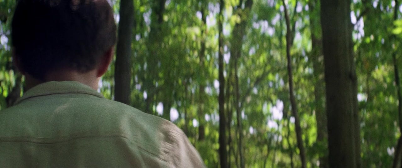 The Kings of Summer (2013), wide, 2.39:1 — film still