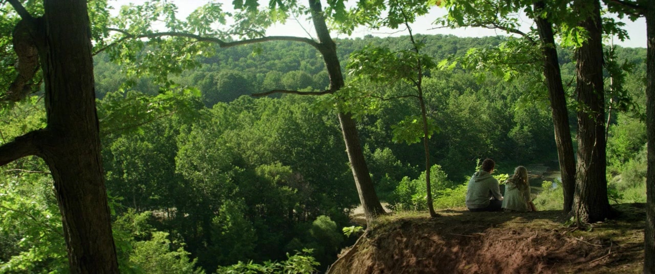 The Kings of Summer (2013), wide, 2.39:1 — film still
