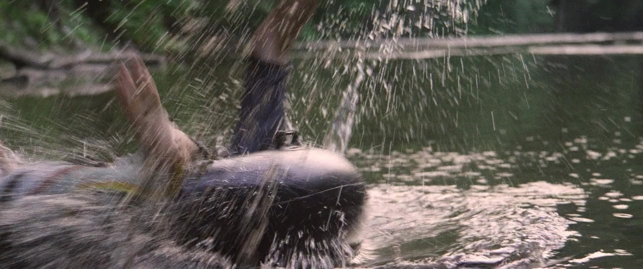The Kings of Summer (2013), wide, 2.39:1 — film still