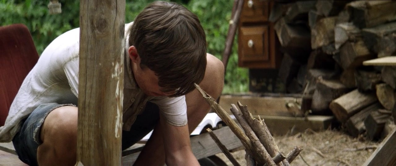 The Kings of Summer (2013), wide, 2.39:1 — film still