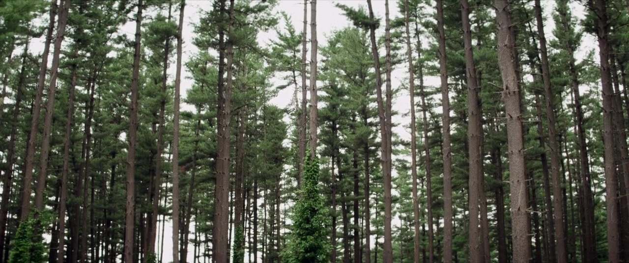 The Kings of Summer (2013), wide, 2.39:1 — film still