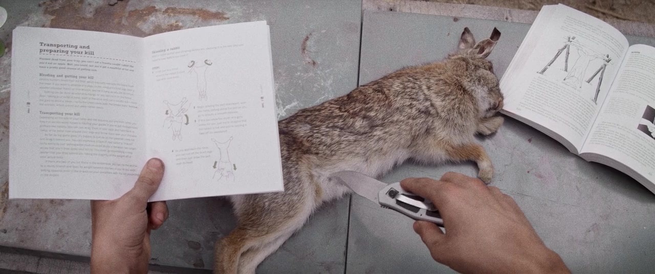 The Kings of Summer (2013), wide, 2.39:1 — film still