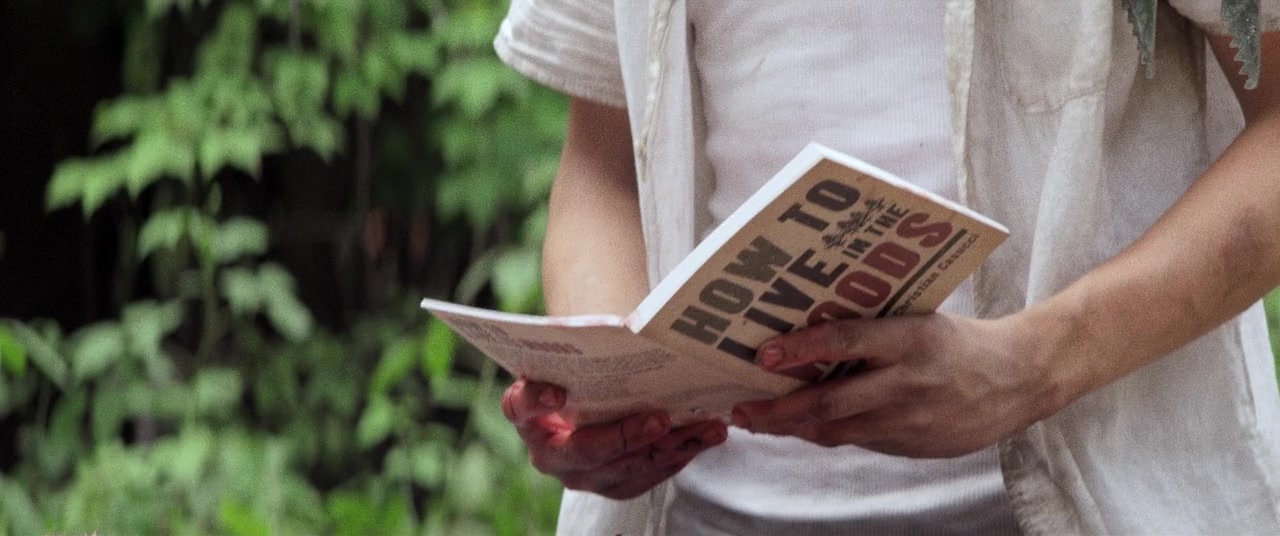 The Kings of Summer (2013), wide, 2.39:1 — film still