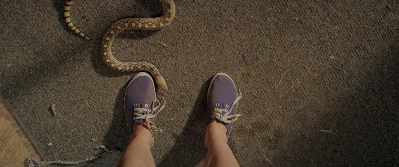 The Kings of Summer (2013), unknown, 2.39:1 — film still