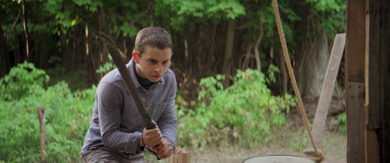 The Kings of Summer (2013), wide, 2.39:1 — film still