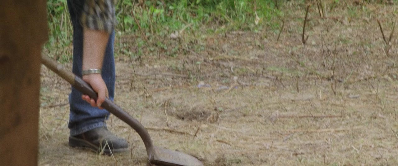 The Kings of Summer (2013), wide, 2.39:1 — film still