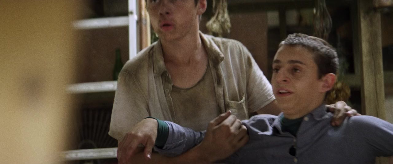 The Kings of Summer (2013), medium, 2.39:1 — film still