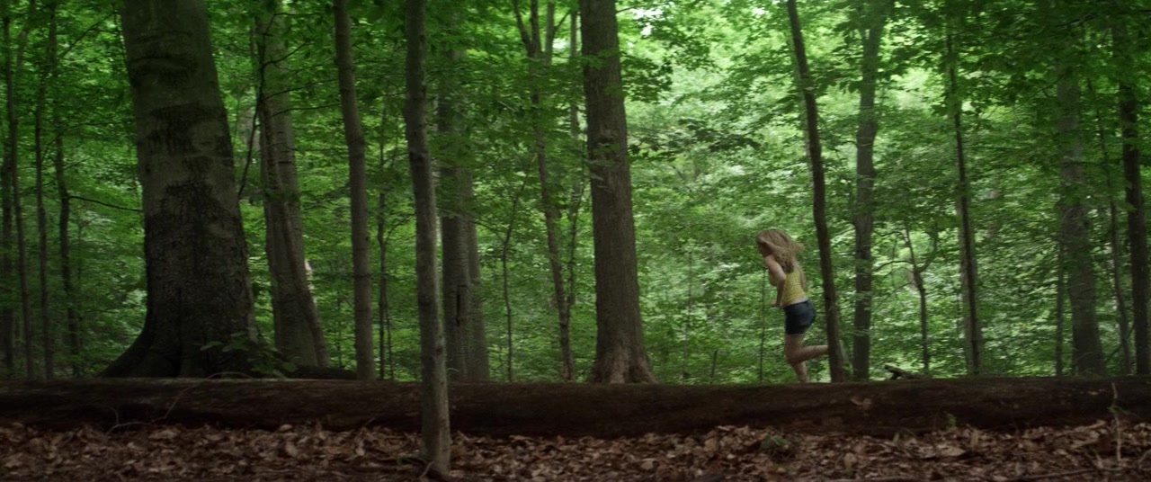 The Kings of Summer (2013), wide, 2.39:1 — film still