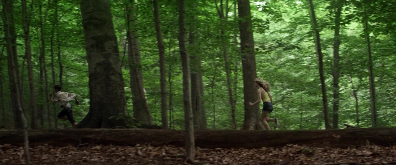 The Kings of Summer (2013), medium, 2.39:1 — film still