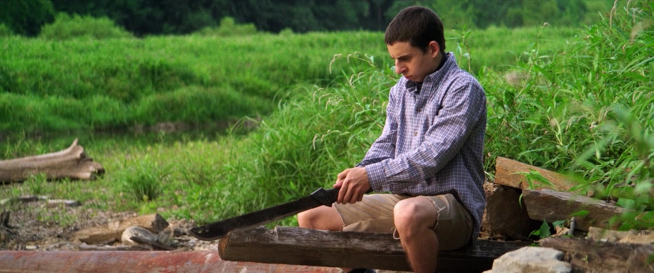 The Kings of Summer (2013), wide, 2.39:1 — film still