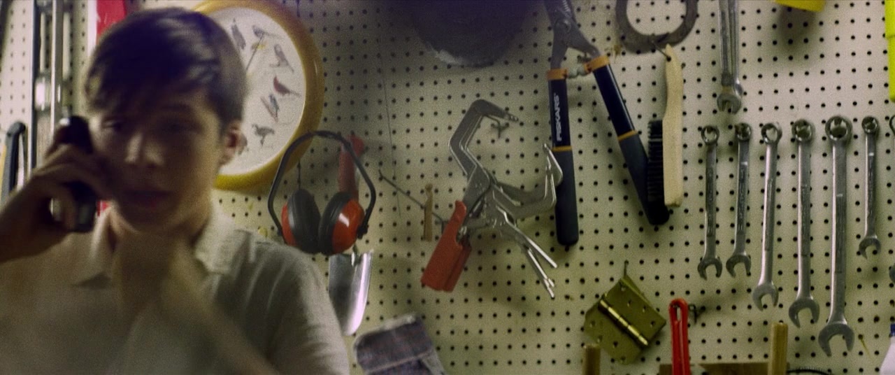 The Kings of Summer (2013), wide, 2.39:1 — film still