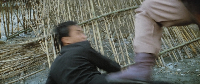 seria-2172917.jpg
