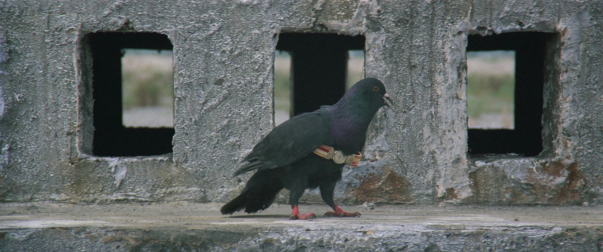 Zhong hua zhan shi (1987), wide, 2.39:1 — film still