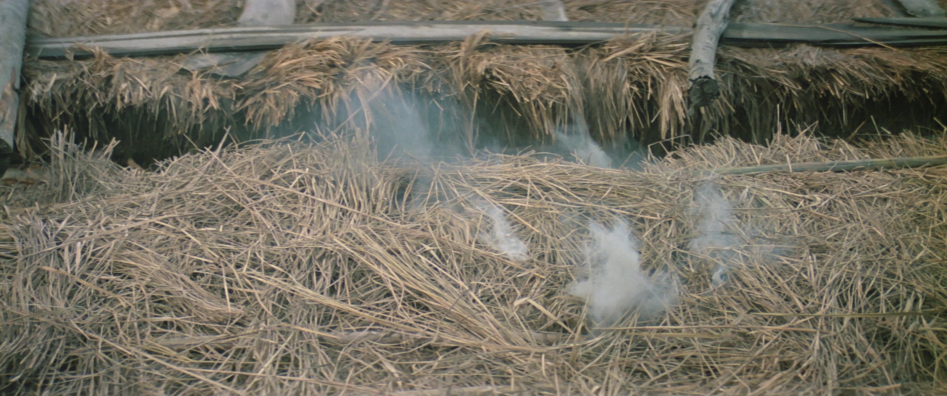 Zhong hua zhan shi (1987), wide, 2.39:1 — film still