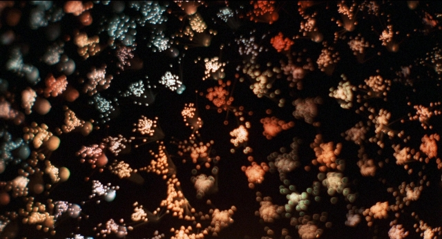 Wide shot frame from Medium Cool — night, flower