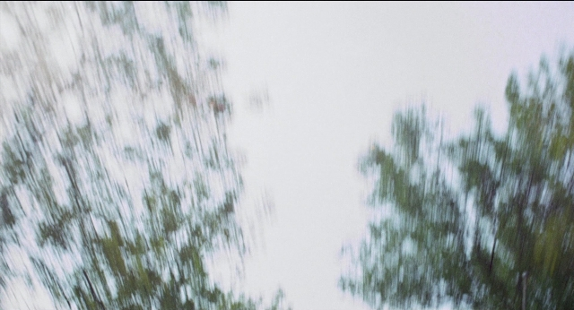 Medium shot frame from Medium Cool — picture frame