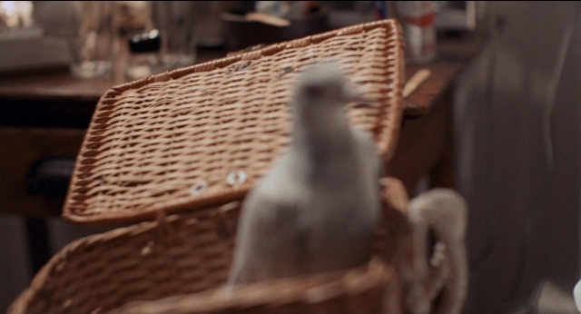 seria-308225.jpg