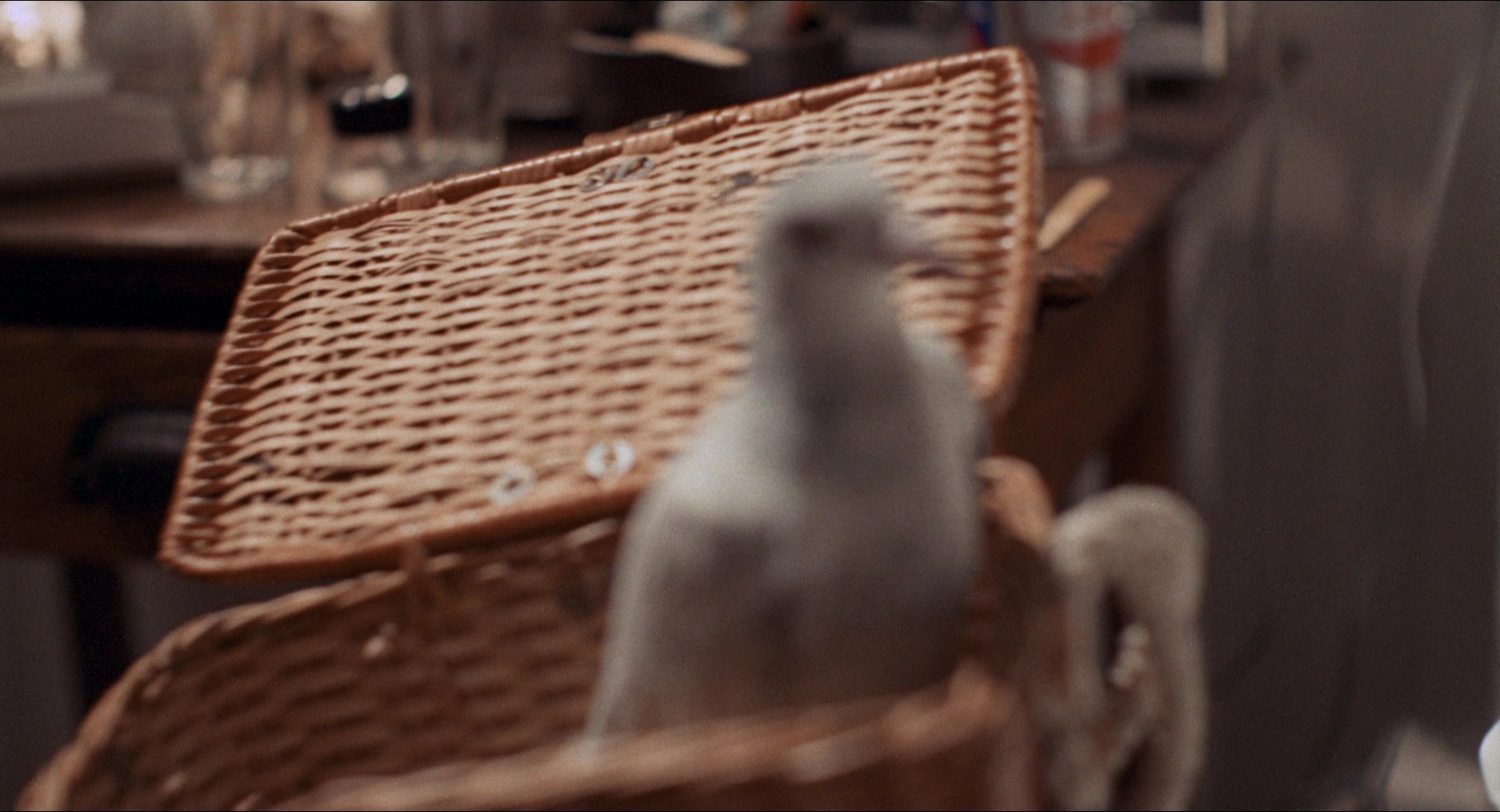 Medium Cool (1969), wide, 1.85:1 — film still