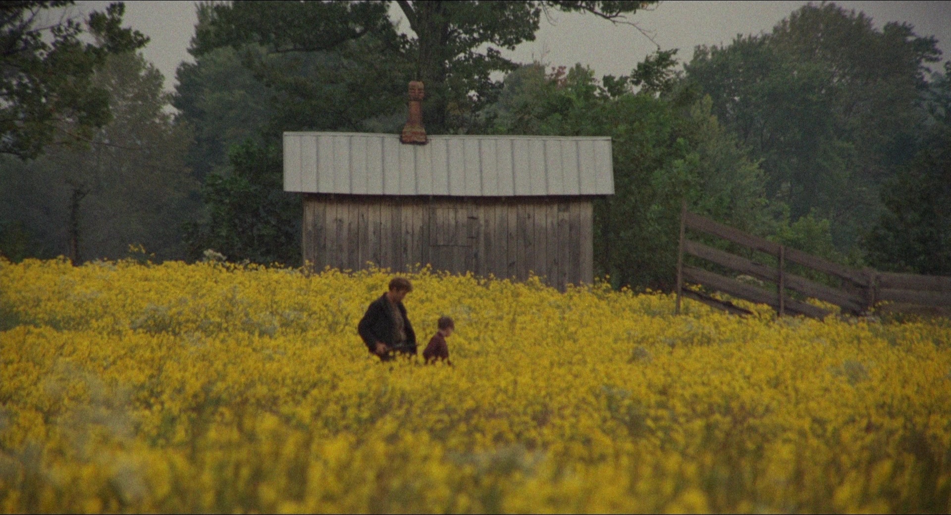Medium Cool (1969), wide, 1.85:1 — film still