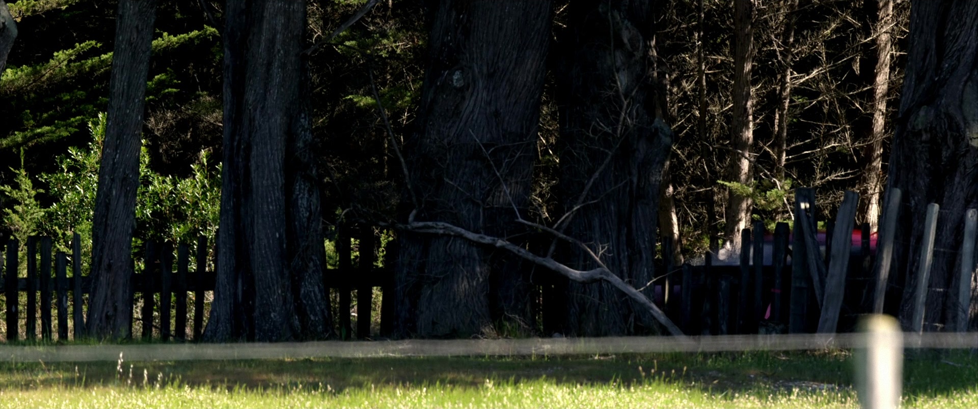 Need for Speed (2014), wide, 2.39:1 — film still