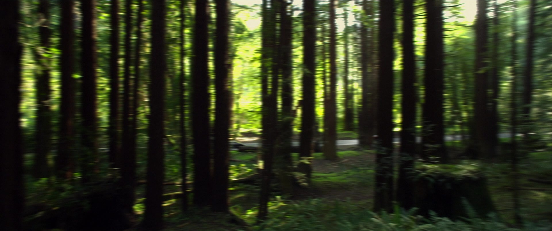 Need for Speed (2014), wide, 2.39:1 — film still