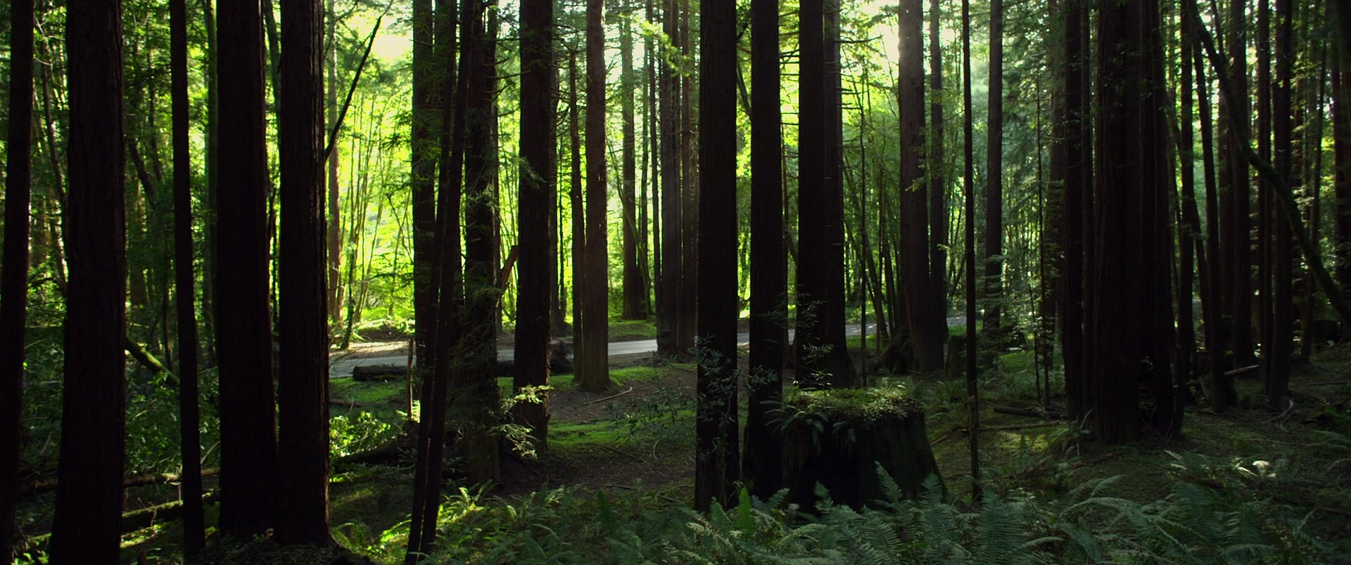 Need for Speed (2014), wide, 2.39:1 — film still