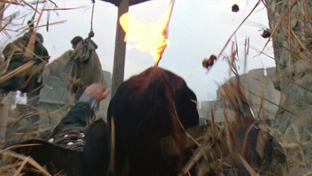 Frame from Robin Hood: Prince of Thieves — bird, fight, person
