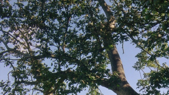 Wide shot frame from Robin Hood: Prince of Thieves — action, standing, show