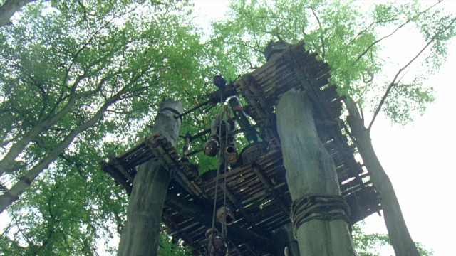 Wide shot frame from Robin Hood: Prince of Thieves — bird, forest, person
