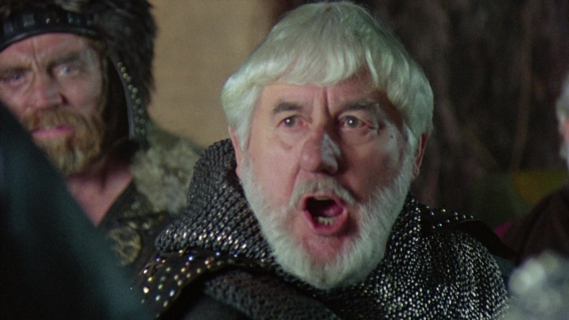 Close-up frame from Robin Hood: Prince of Thieves — room, beard, hair