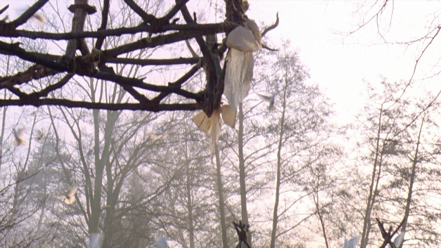 Wide shot frame from Robin Hood: Prince of Thieves — bird
